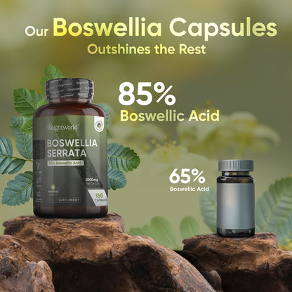 boswellia-serreta-caps-uk-03