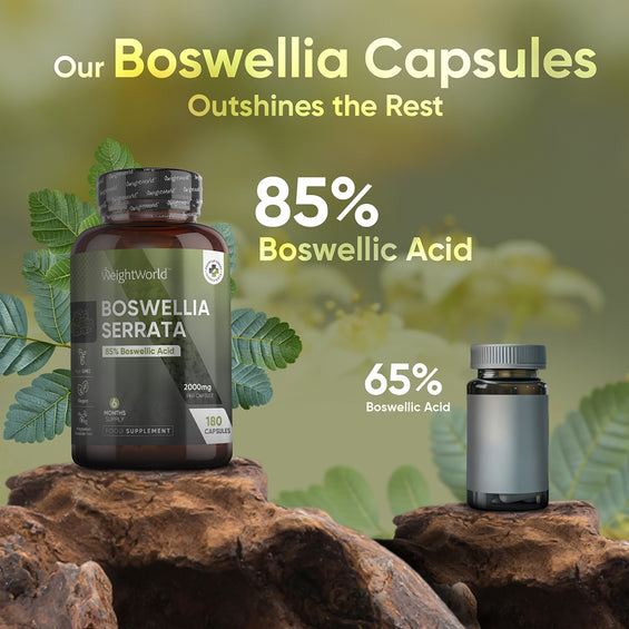 boswellia-serreta-caps-uk-03