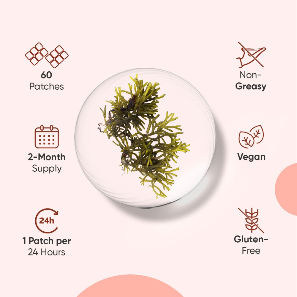 bundle-combo-slim-apple-04