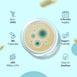 candida-support-caps-uk-3