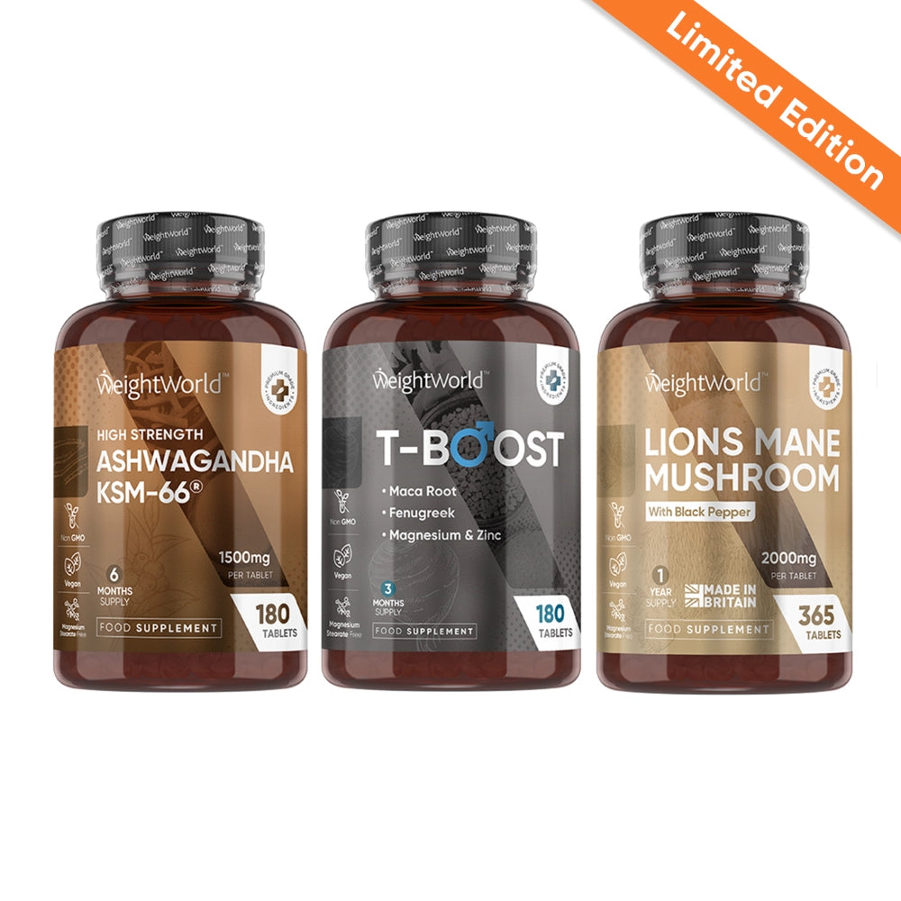 Holiday Energy & Focus Trio