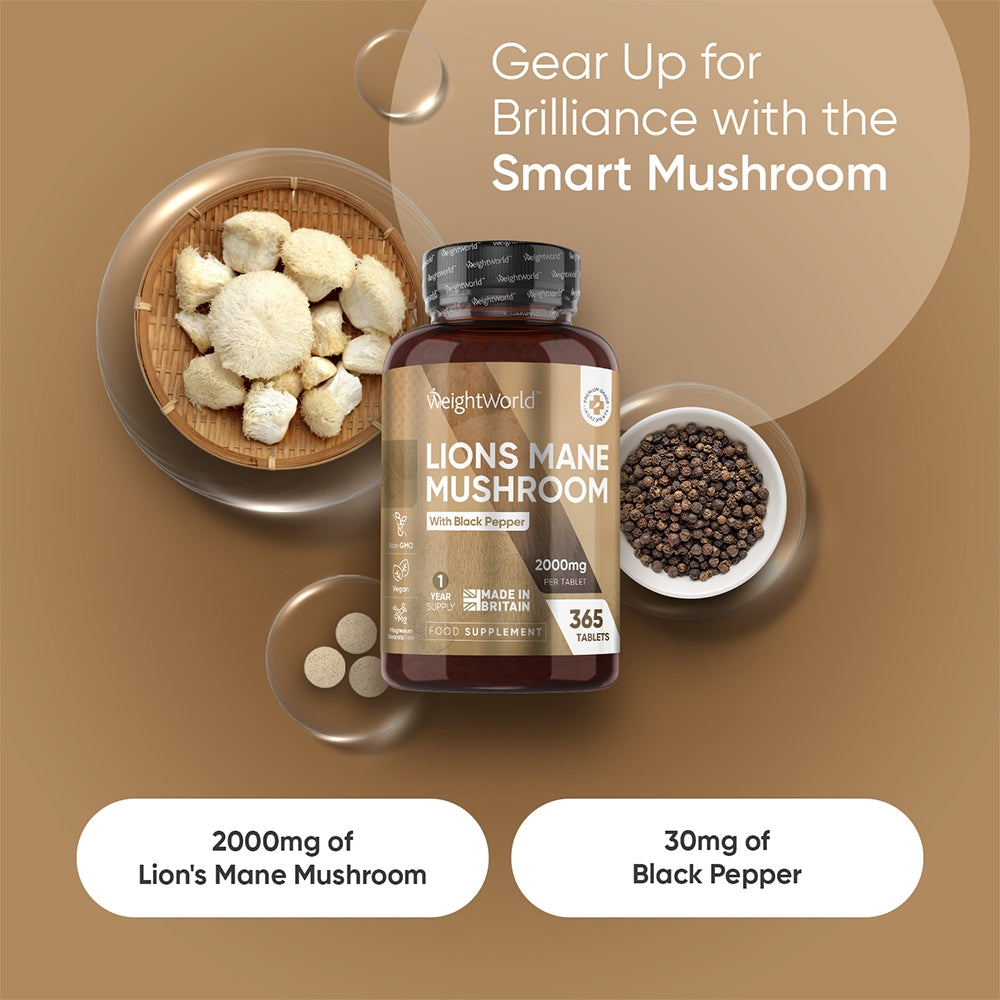 energy-focus-combo-ww-uk-8