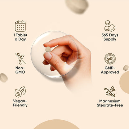 energy-focus-combo-ww-uk-9