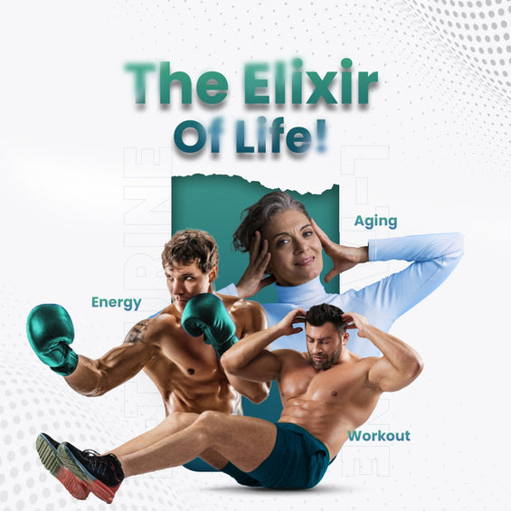 l-taurine-amino-acid-uk-03