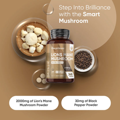 lions-manes-mushroom-extract-uk-2