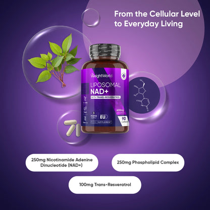 liposomal-nad-with-resveratrol-600mg-uk-2