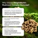 mushroom-complex-gummies-uk-7