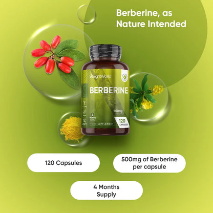 weightworld-uk-berberine-capsules-bottle-02