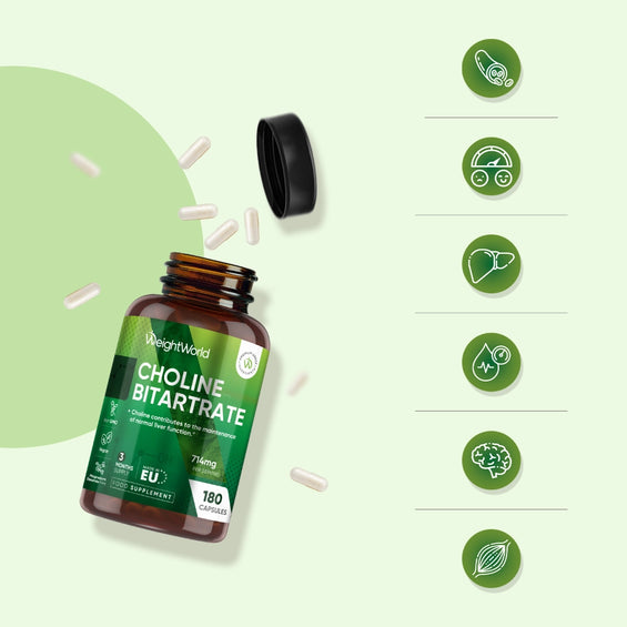 weightworld-uk-choline-bitratrate-bottle-03