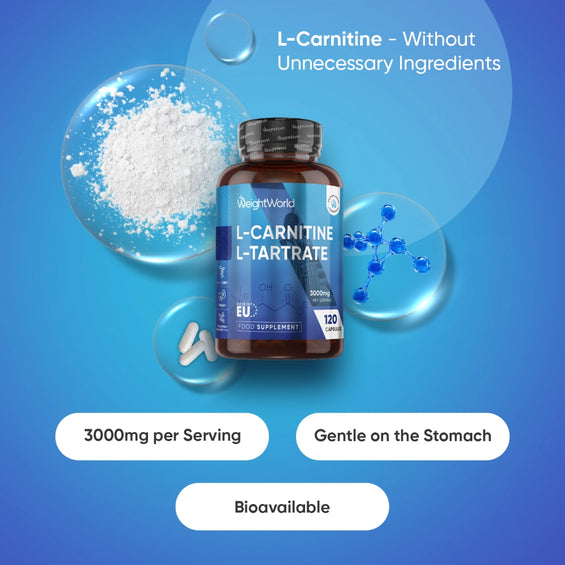 weightworld-uk-l-cartine-2000mg-120-capsuels-bottle-02