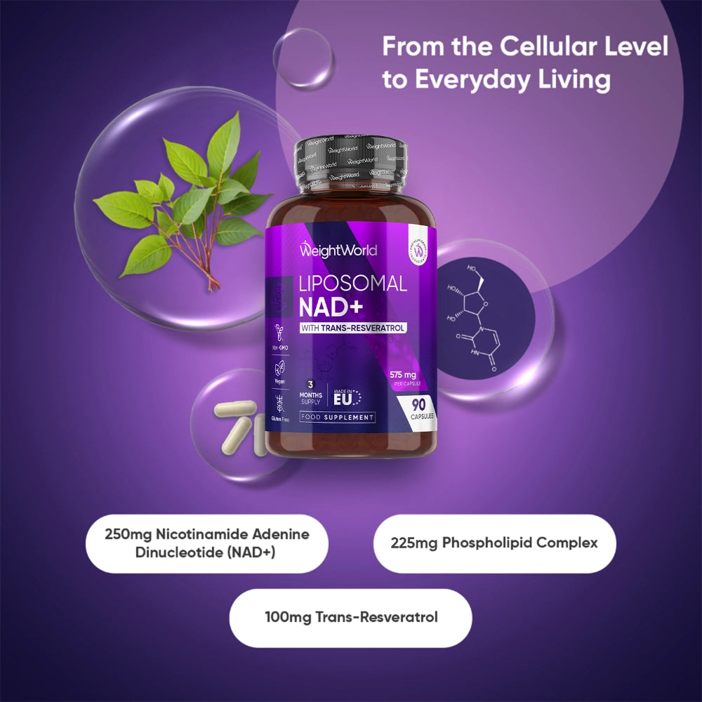 weightworld-uk-liposomal-nad-with-resveratrol-02
