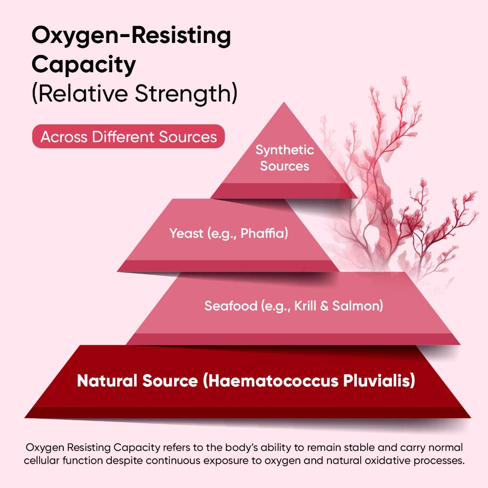 weightworld-uk-natural-astaxanthin-softgels-8mg-240-softgels-bottles-04