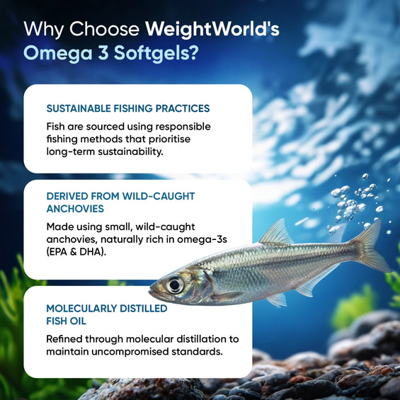 weightworld-uk-omega-fish-oil-tablet-bottles-04