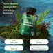 weightworld-uk-vegan-omega-3-2000mg-2